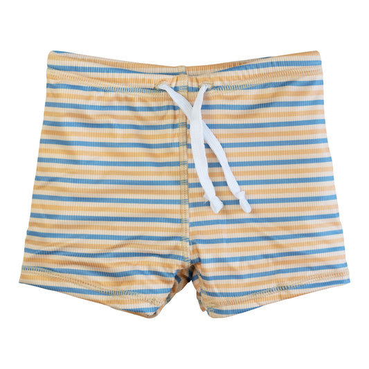 Boys Hudson Ribbed Stripe Swim Shorts